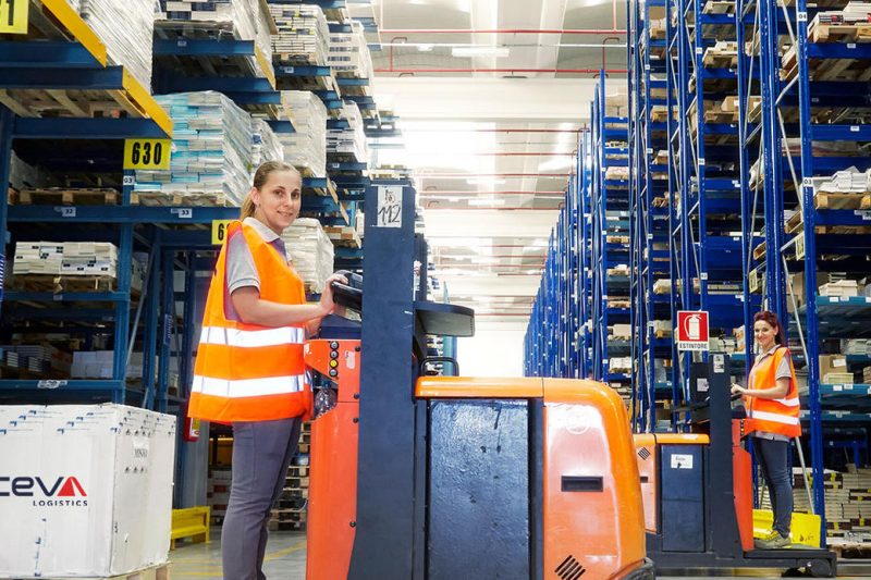 Jobs in the Netherlands 2025: Opportunities, Salaries & Work Visa Guide